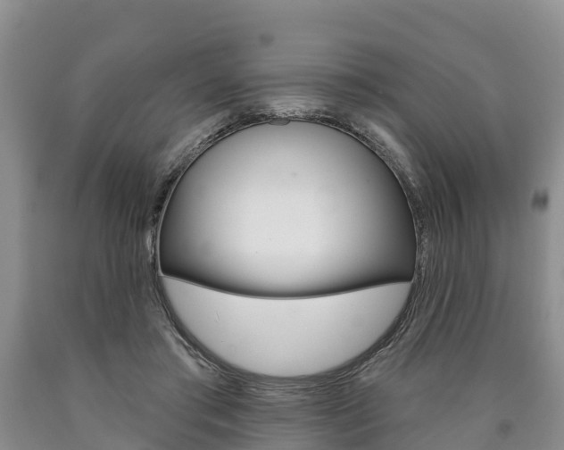 X0000090870405200707270959