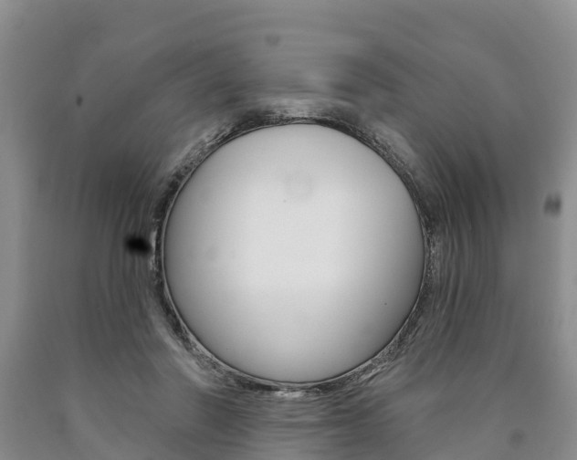 X0000090870406200707270959