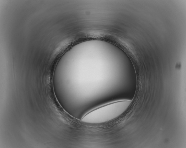 X0000090870407200707270959