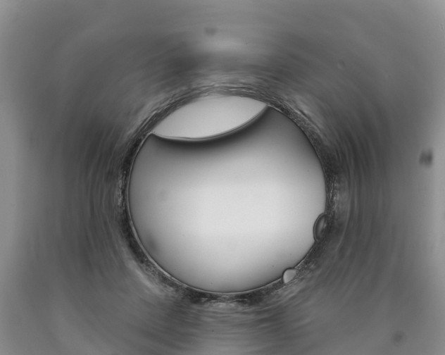 X0000090870408200707270959