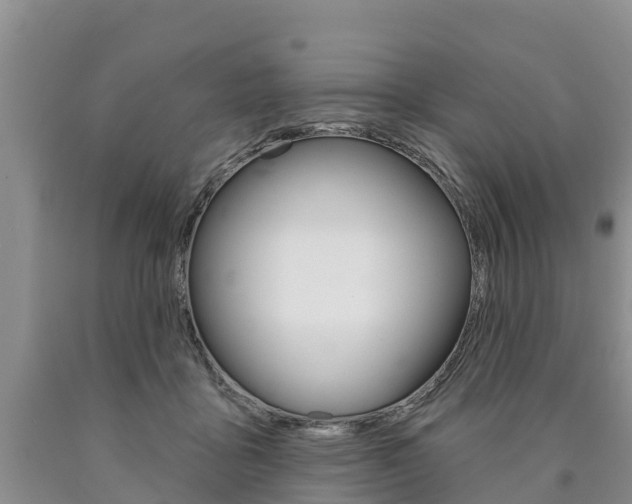 X0000090870411200707270959