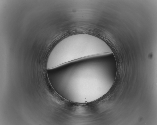 X0000090870412200707270959