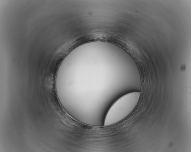 X0000090870413200707270959