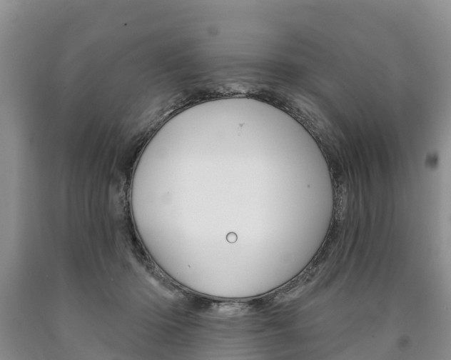 X0000090870414200707270959