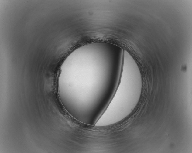 X0000090870416200707270959