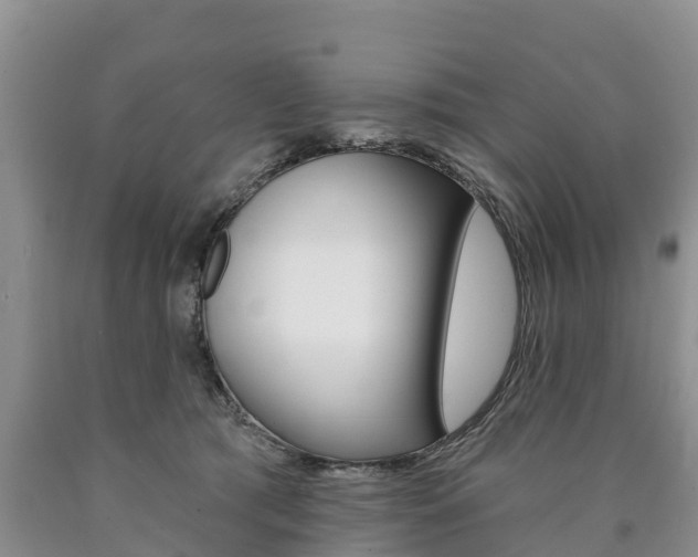 X0000090870417200707270959