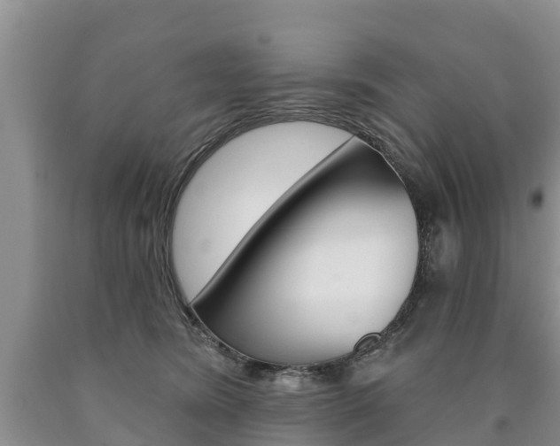 X0000090870420200707270959
