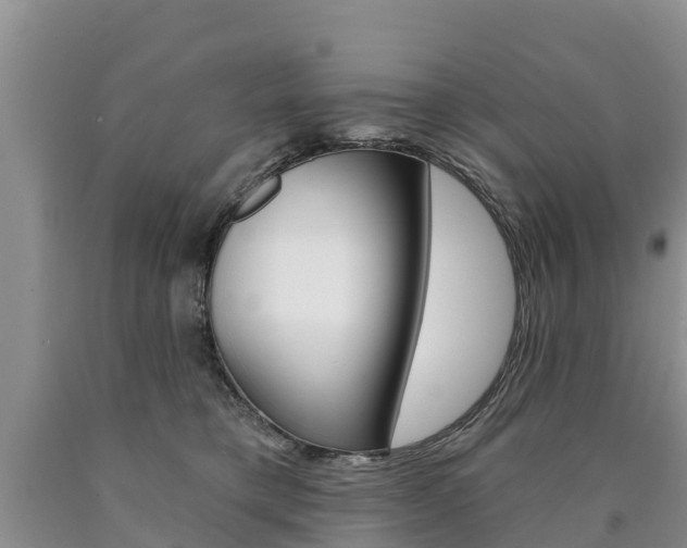 X0000090870421200707270959