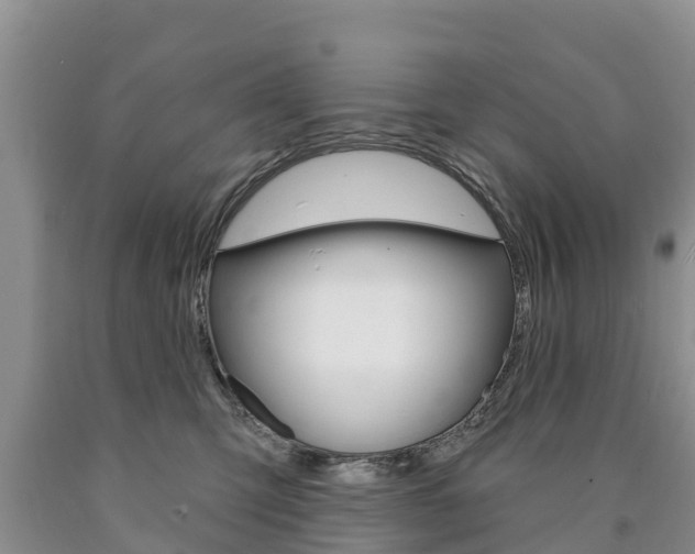 X0000090870423200707270959