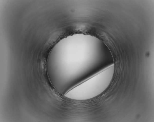 X0000090870424200707270959