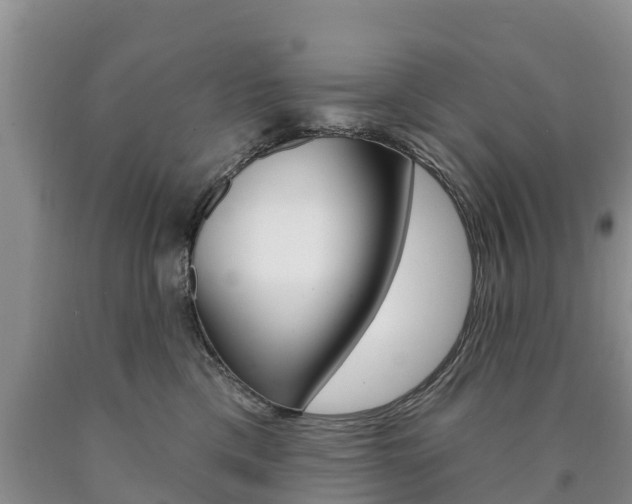 X0000090870425200707270959