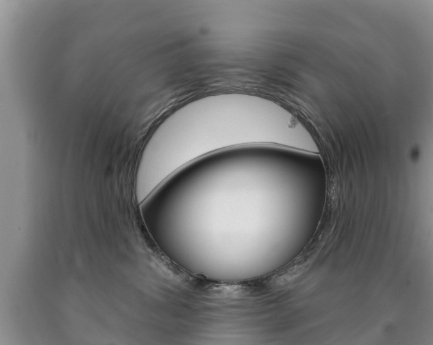 X0000090870428200707270959
