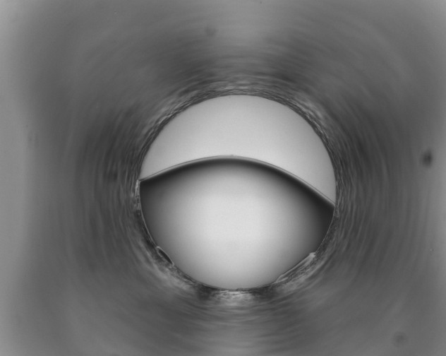 X0000090870429200707270959