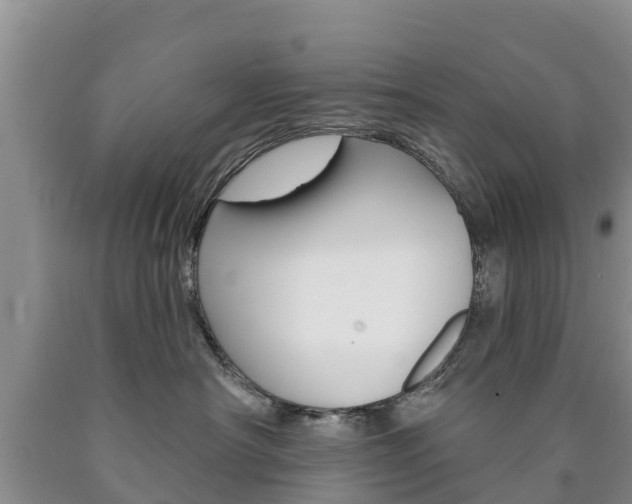 X0000090870430200707270959