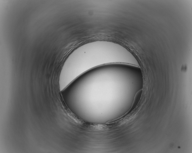 X0000090870432200707270959