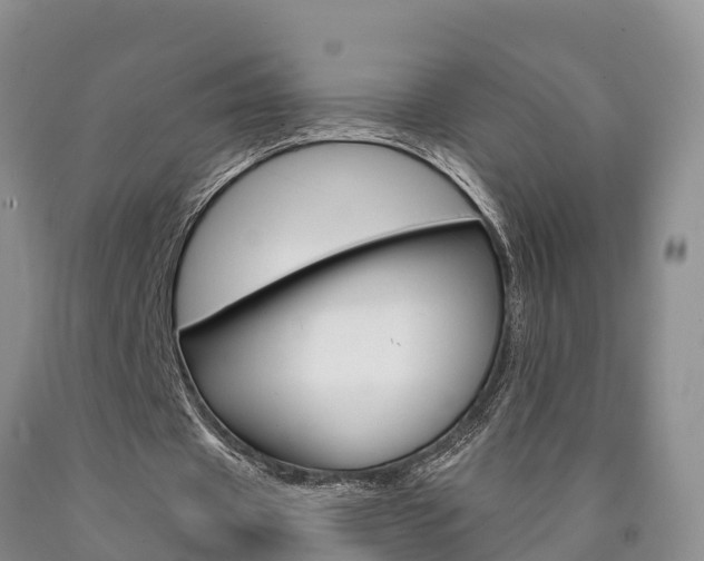 X0000090870433200707270958