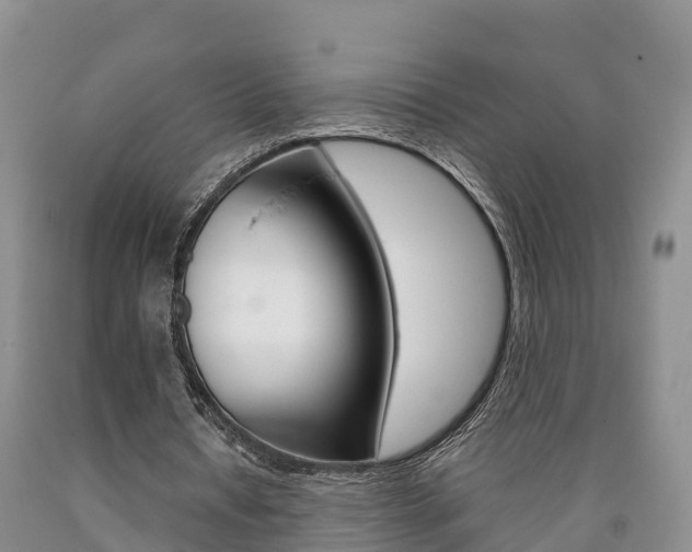 X0000090870434200707270958