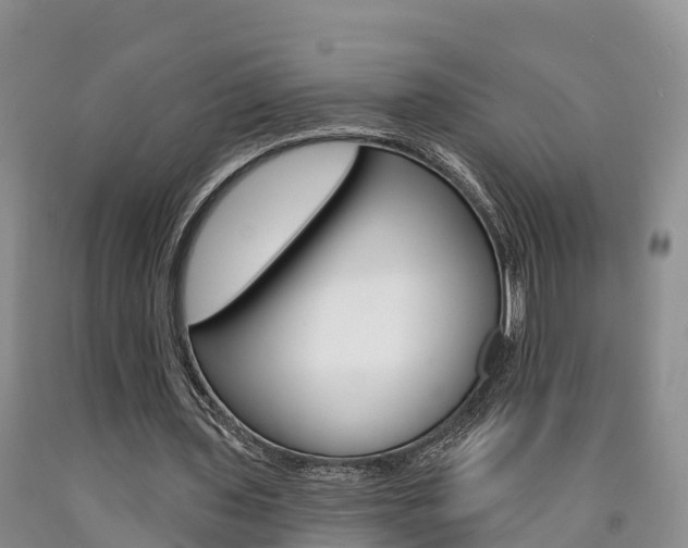 X0000090870435200707270958