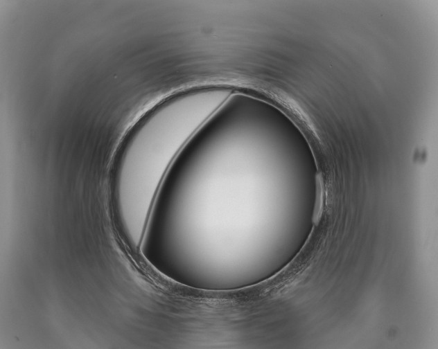 X0000090870436200707270958