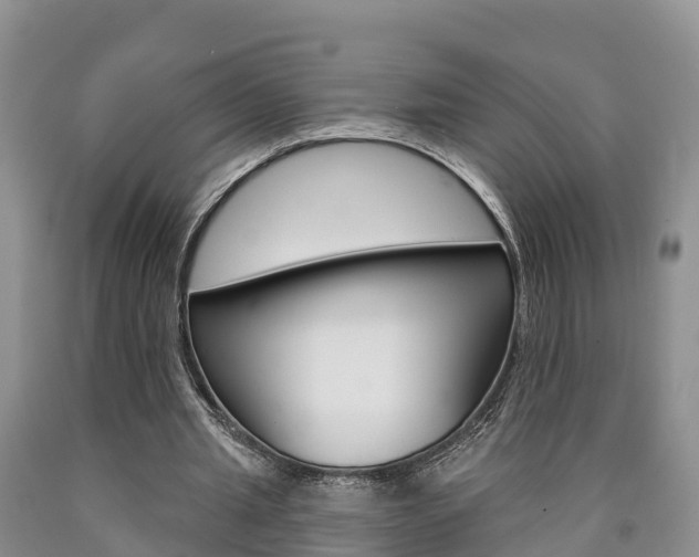 X0000090870437200707270958