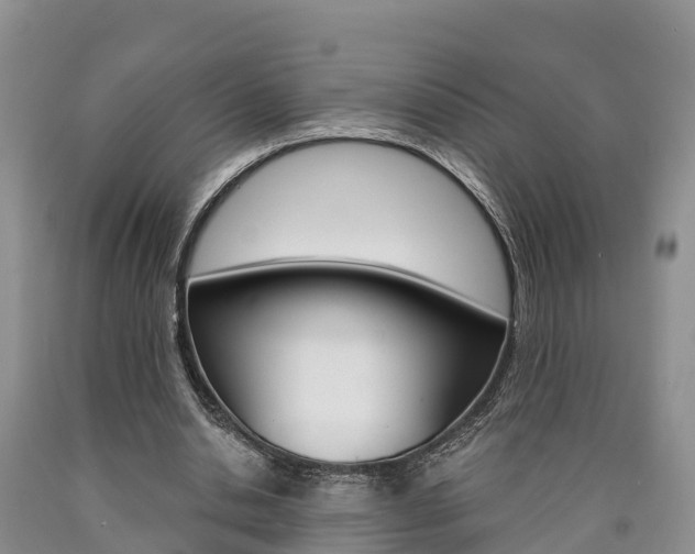 X0000090870438200707270958