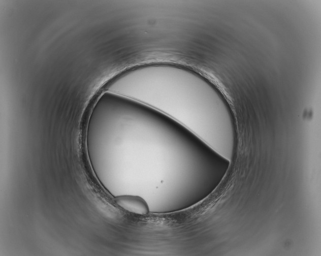 X0000090870439200707270958