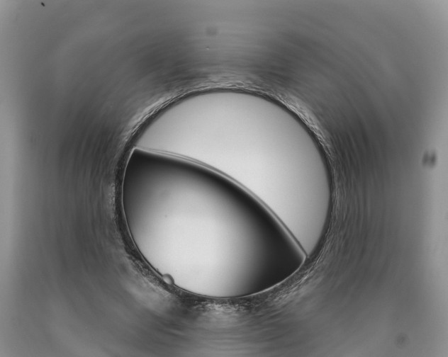 X0000090870442200707270958