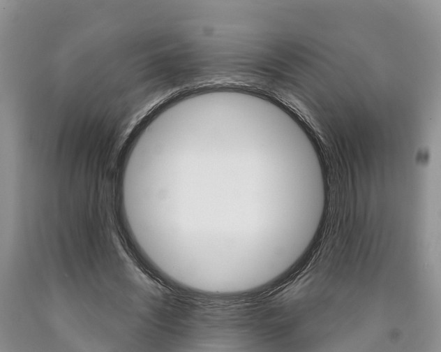 X0000090870444200707270958