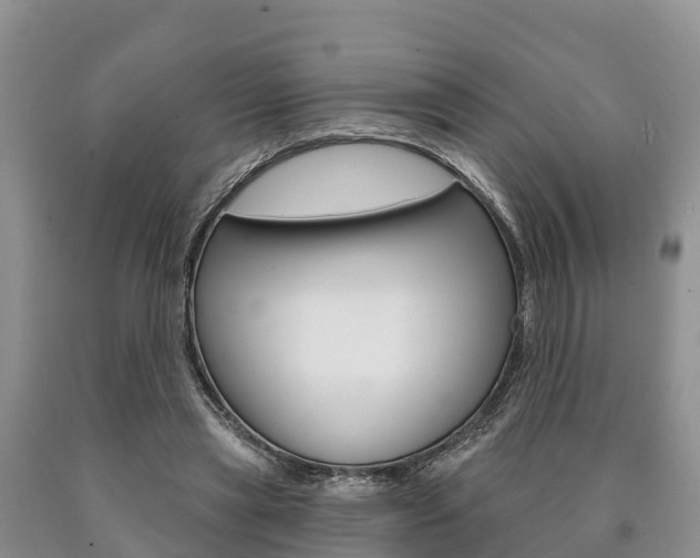 X0000090870445200707270958