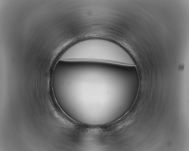 X0000090870446200707270958