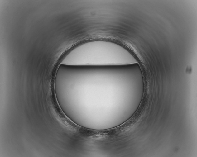 X0000090870447200707270958