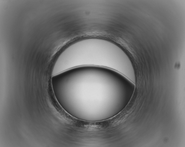 X0000090870448200707270958