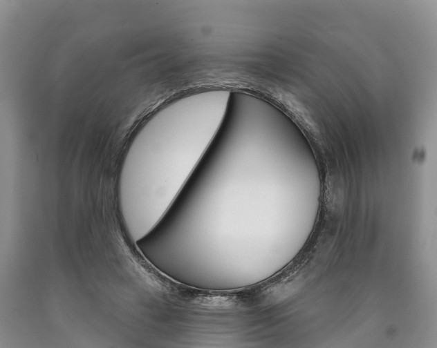 X0000090870449200707270958