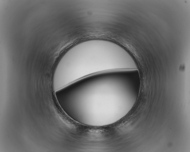 X0000090870450200707270958