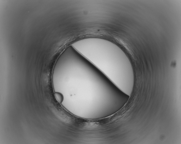 X0000090870451200707270958