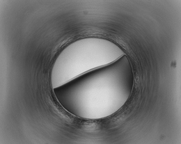 X0000090870454200707270958