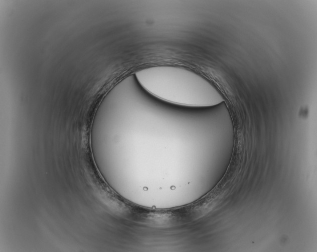 X0000090870457200707270958