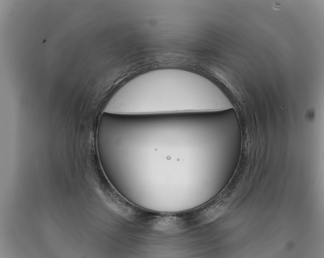X0000090870459200707270958