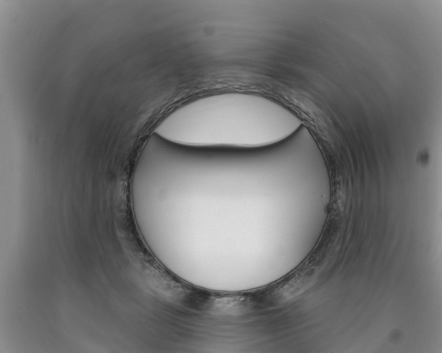 X0000090870461200707270958