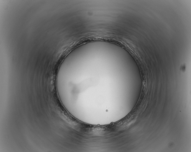 X0000090870462200707270958