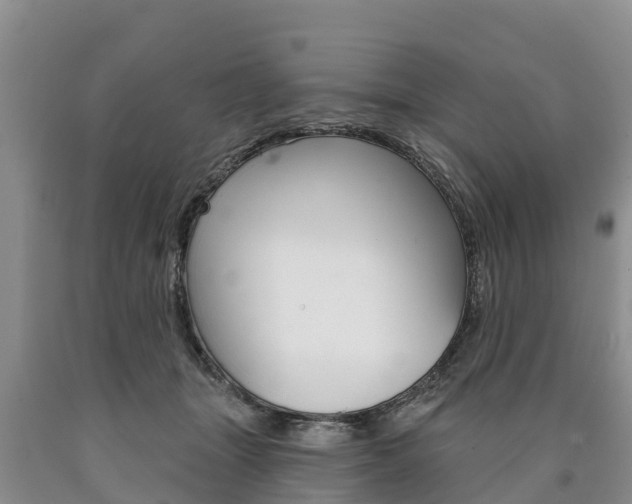 X0000090870463200707270958