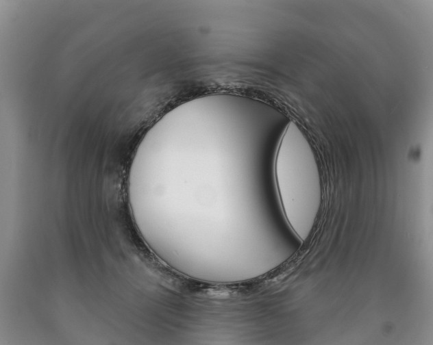 X0000090870464200707270958