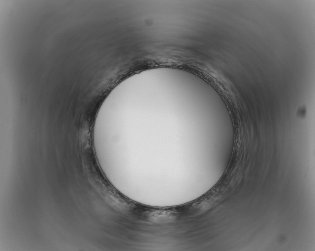 X0000090870465200707270958