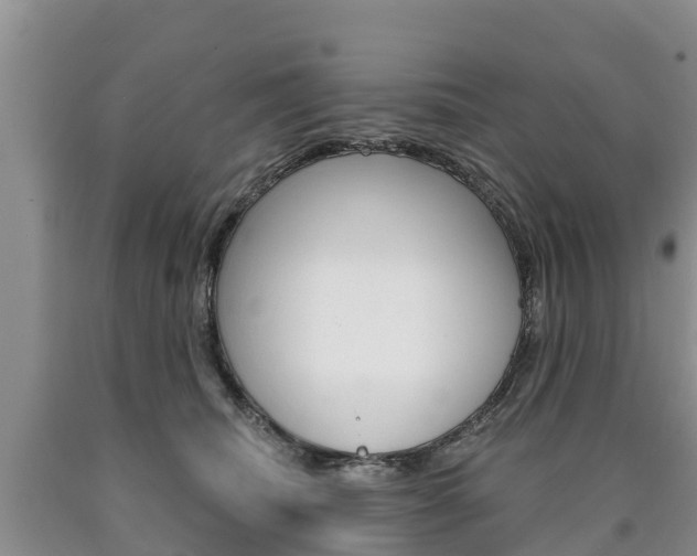 X0000090870468200707270958