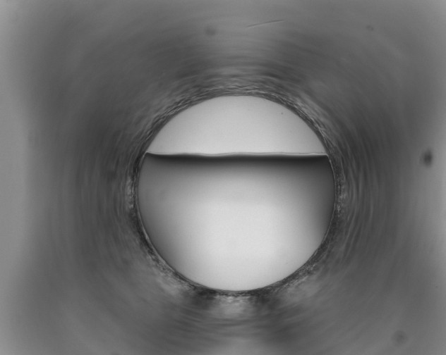 X0000090870469200707270958