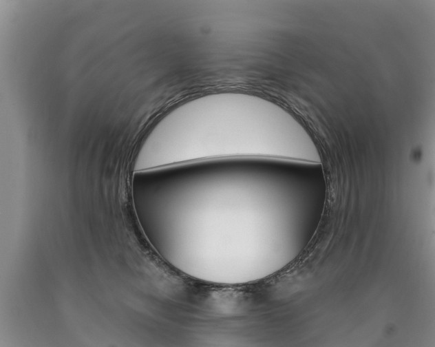 X0000090870470200707270959