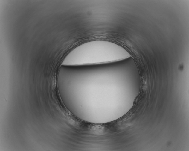 X0000090870471200707270959