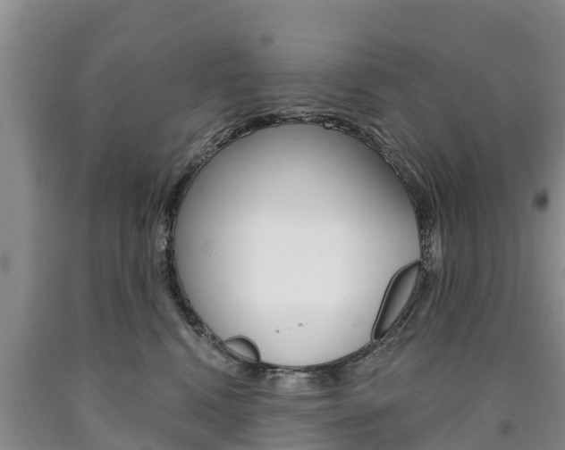 X0000090870472200707270959