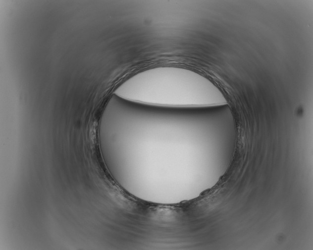 X0000090870475200707270959