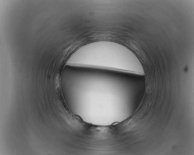 X0000090870478200707270959